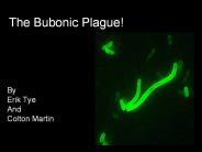The Bubonic Plague!