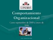 Comportamiento Organizacional