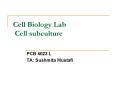 Cell Biology Lab Cell subculture PowerPoint PPT Presentation