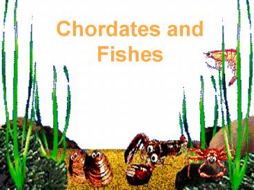 Chordates and Fishes