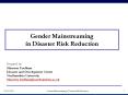 United Nations Development Programme Disaster Management Programme Training of Trainers on Gender Mainstreaming in Disaster Risk Reduction UNDP in partnership with Oxfam, ISDR, UNIFEM, AIDMI and SAARC Disaster Management Centre PowerPoint PPT Presentation