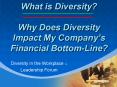 What is Diversity?  Why Does Diversity Impact My Company PowerPoint PPT Presentation