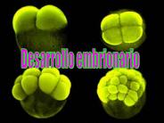 Diapositiva 1