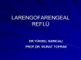 LARENGOFARENGEAL REFL PowerPoint PPT Presentation