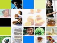 Fairtrade Labelling Organisations International (FLO)