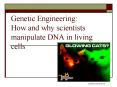 Genetic Engineering: How and why scientists manipulate DNA in living cells PowerPoint PPT Presentation