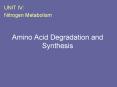 Amino Acid Degradation and Synthesis PowerPoint PPT Presentation