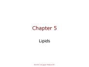 Lipids