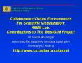Collaborative Virtual Environments For Scientific Visualization: AMMI Lab. Contributions to The WestGrid Project PowerPoint PPT Presentation