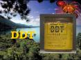 DDT PowerPoint PPT Presentation