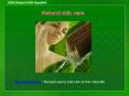100% Natural Beauty Product PowerPoint PPT Presentation