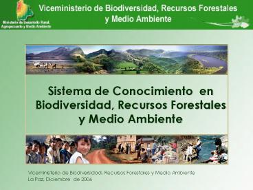 Viceministerio de Biodiversidad, Recursos Forestales y Medio Ambiente