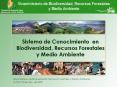 Viceministerio de Biodiversidad, Recursos Forestales y Medio Ambiente PowerPoint PPT Presentation
