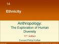 Ethnicity PowerPoint PPT Presentation