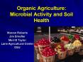 Organic Agriculture: Microbial Activity and Soil Health PowerPoint PPT Presentation