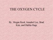 THE OXYGEN CYCLE