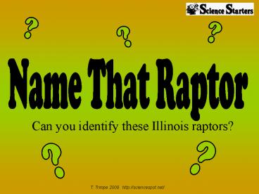 Can you identify these Illinois raptors?