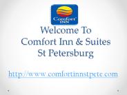 Comfort Inn & Suites st petersburg