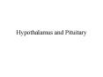 Hypothalamus and Pituitary PowerPoint PPT Presentation