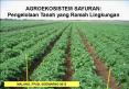 AGROEKOSISTEM SAYURAN: PowerPoint PPT Presentation