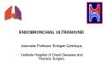 ENDOBRONCHIAL ULTRASOUND PowerPoint PPT Presentation