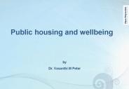 Public housing and wellbeing  