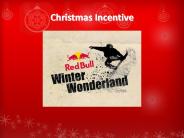 Christmas Incentive