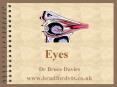 Eyes PowerPoint PPT Presentation