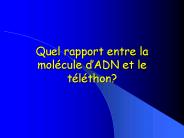 Quel rapport entre la mol