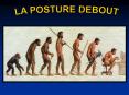 La posture debout PowerPoint PPT Presentation