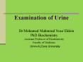 Examination of Urine PowerPoint PPT Presentation