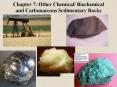Chapter 7: Other Chemical/ Biochemical and Carbonaceous Sedimentary Rocks PowerPoint PPT Presentation