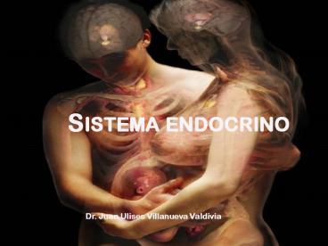 Sistema endocrino