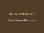 SISTEMA ENDOCRINO