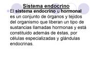 Sistema endocrino