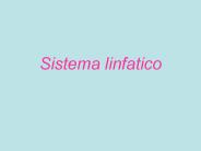 Sistema linfatico