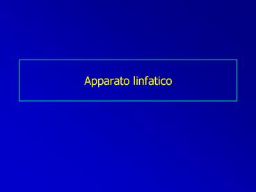 Apparato linfatico