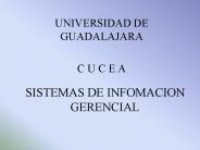 SISTEMAS DE INFOMACION GERENCIAL