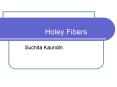 Holey Fibers PowerPoint PPT Presentation