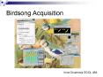 Birdsong Acquisition PowerPoint PPT Presentation