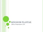 KINGDOM PLANTAE