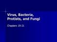 Virus, Bacteria, Protists, and Fungi PowerPoint PPT Presentation