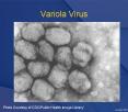 Variola Virus PowerPoint PPT Presentation
