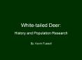 White-tailed Deer: PowerPoint PPT Presentation