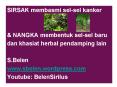 SIRSAK membasmi sel-sel kanker PowerPoint PPT Presentation