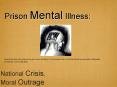 Prison Mental Illness: PowerPoint PPT Presentation