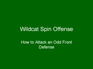Wildcat Spin Offense