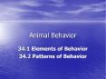 Animal Behavior PowerPoint PPT Presentation