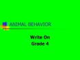 ANIMAL BEHAVIOR PowerPoint PPT Presentation
