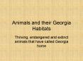 Animals and their Georgia Habitats PowerPoint PPT Presentation